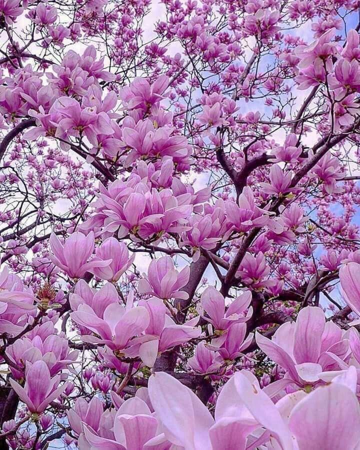 Seasonal flower arrangements